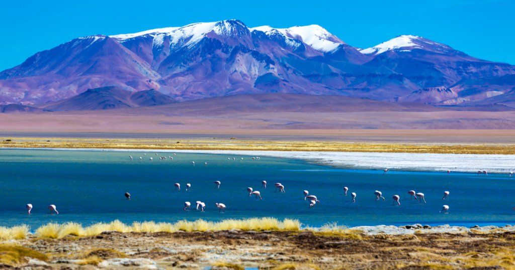 Deserto do Atacama. Fonte: Canva.