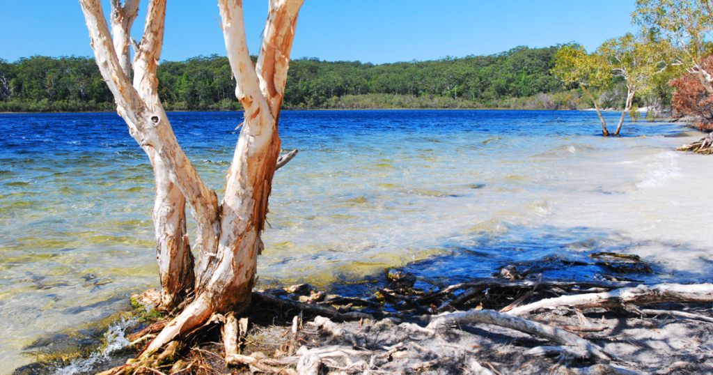 Lago Mackenzie, Austrália. Fonte: Canva.
