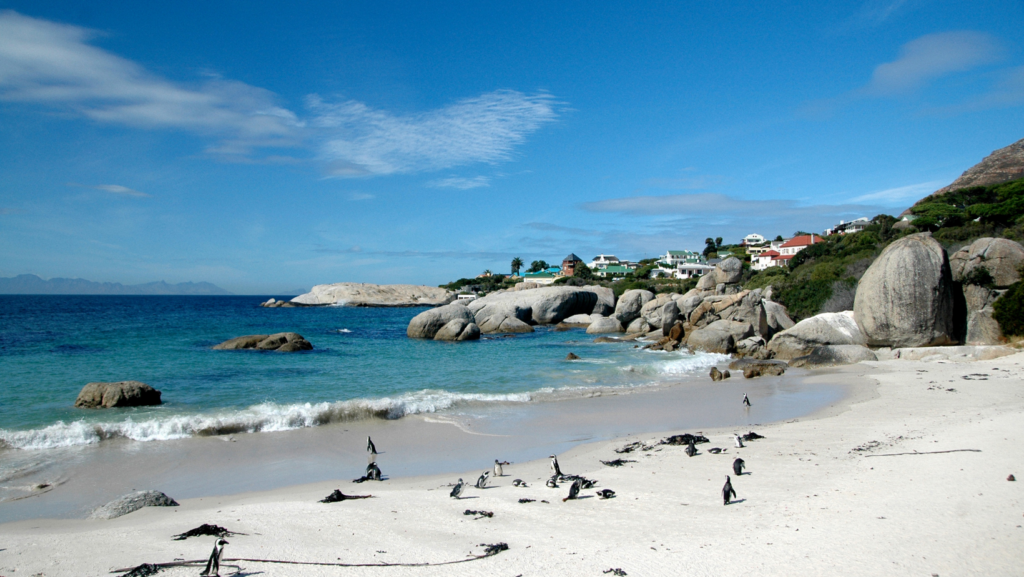 Boulders Beach