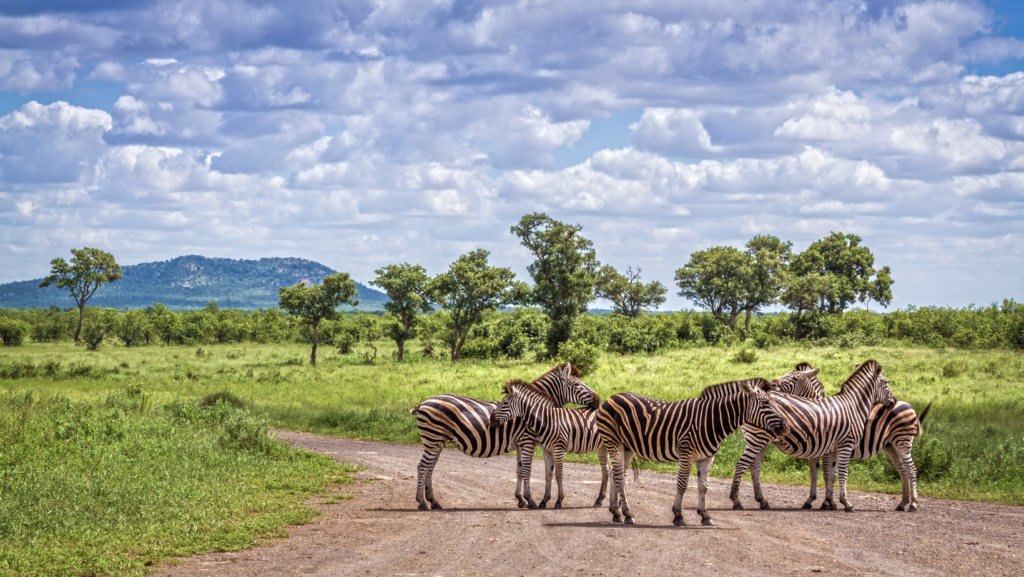 Kruger National Park