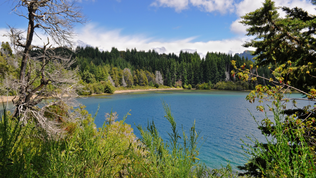 Nahuel Huapi.