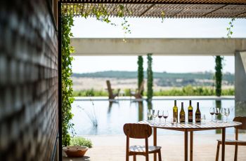 Adega Monte Velho. Divulgação.