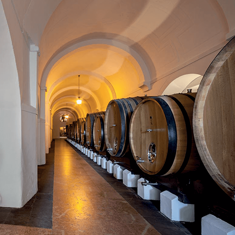 Adega da Cartuxa. Divulgação.